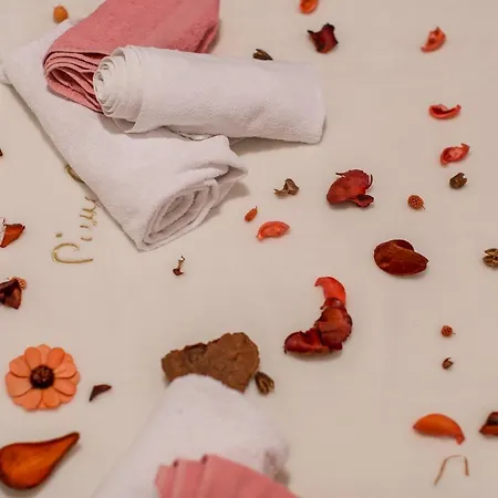 아파트 Vukman 트로기르